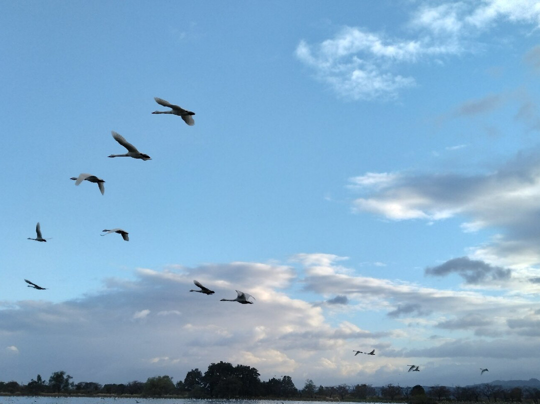 Hyokosuikin Park-阿贺野市必去景点