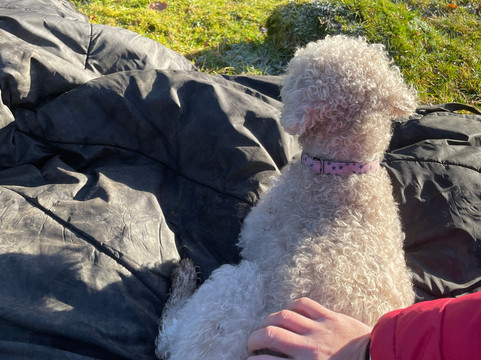 Full circle experiences-安布赛德必去景点