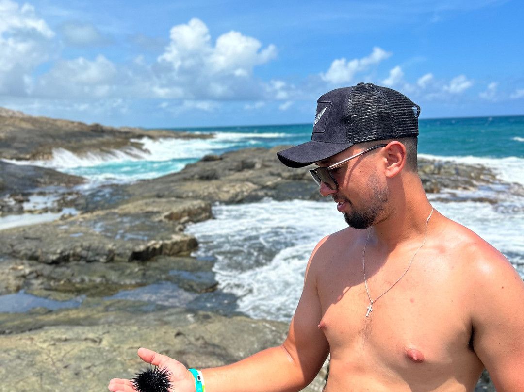 Gaipio Sugar Cane Mill-嘎林海斯港必去景点