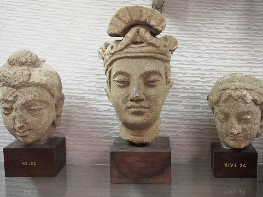 Taxila Museum-Taxila必去景点
