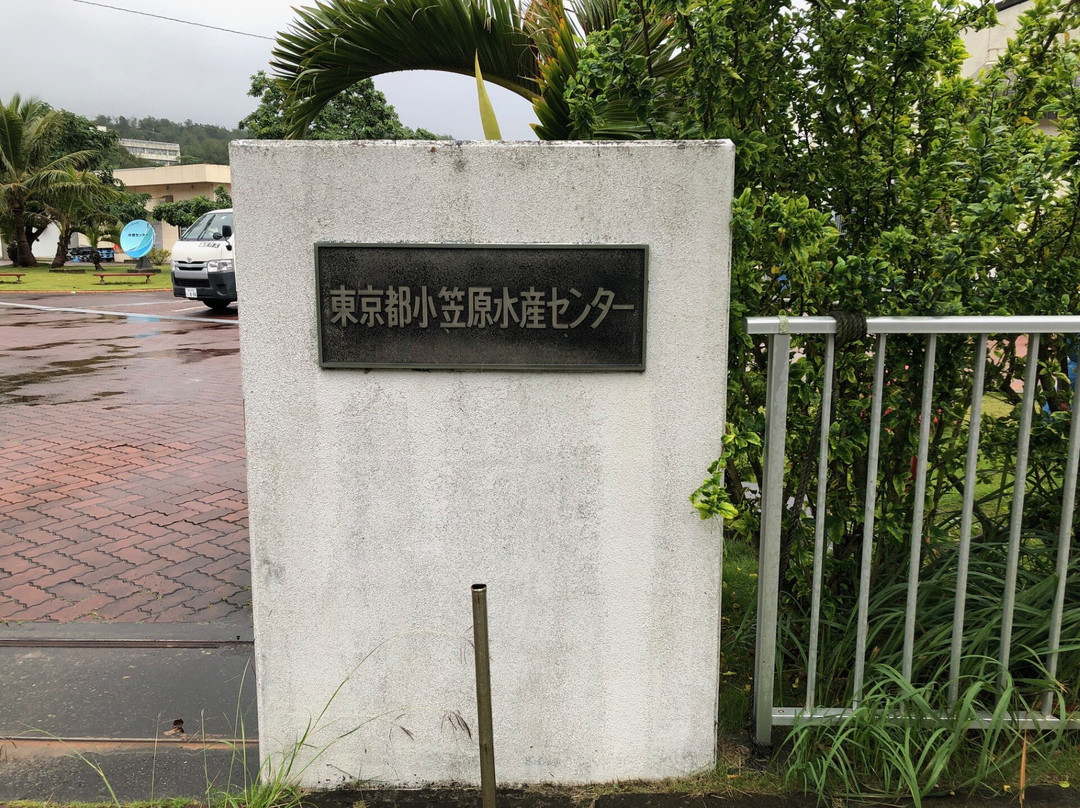 Ogasawara Marine Product Center-Chichi-jima必去景点