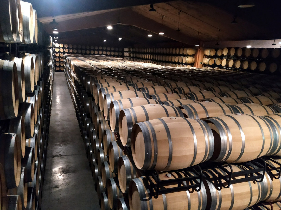 Bodegas Fernández de Piérola-Moreta必去景点