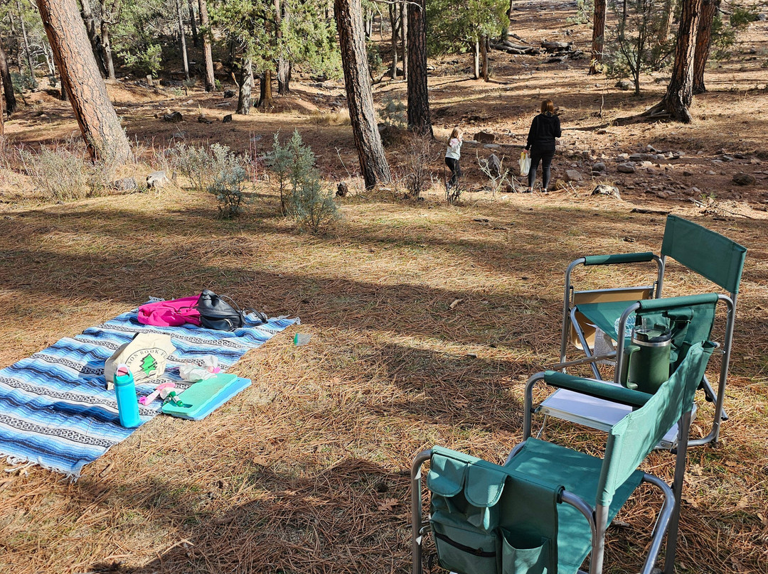 Diamond Point Quartz Crystals-Payson必去景点