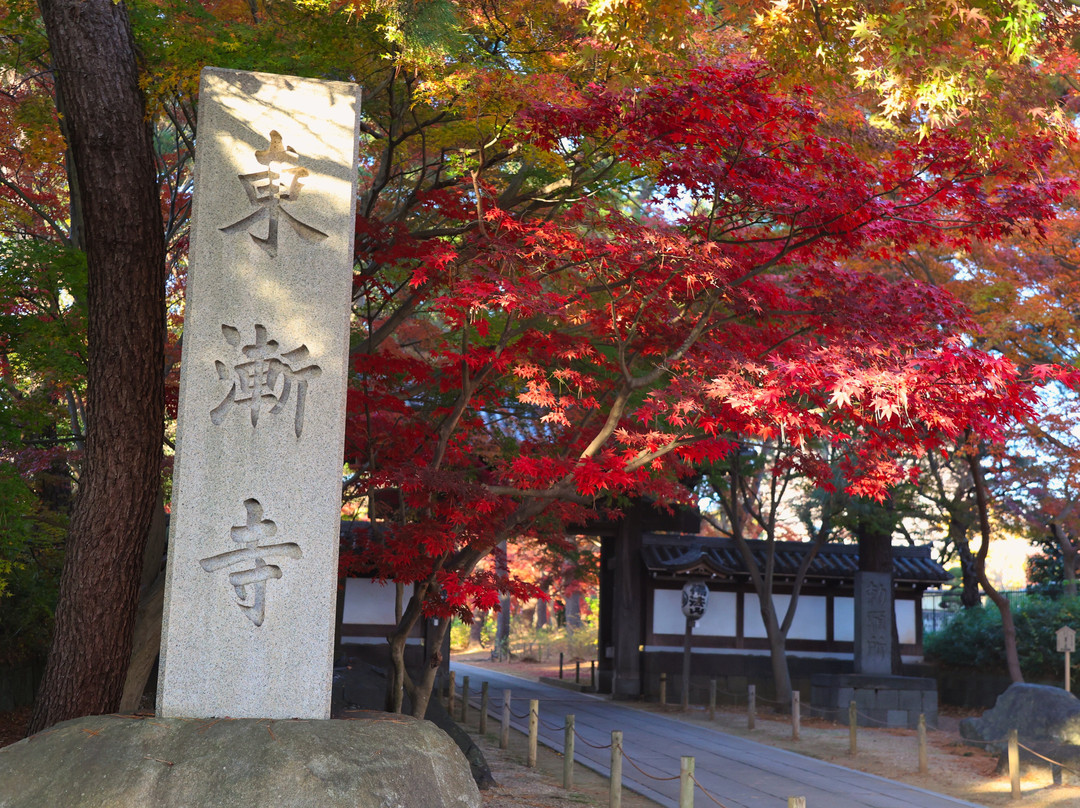 Tozen-ji Temple-松户市必去景点