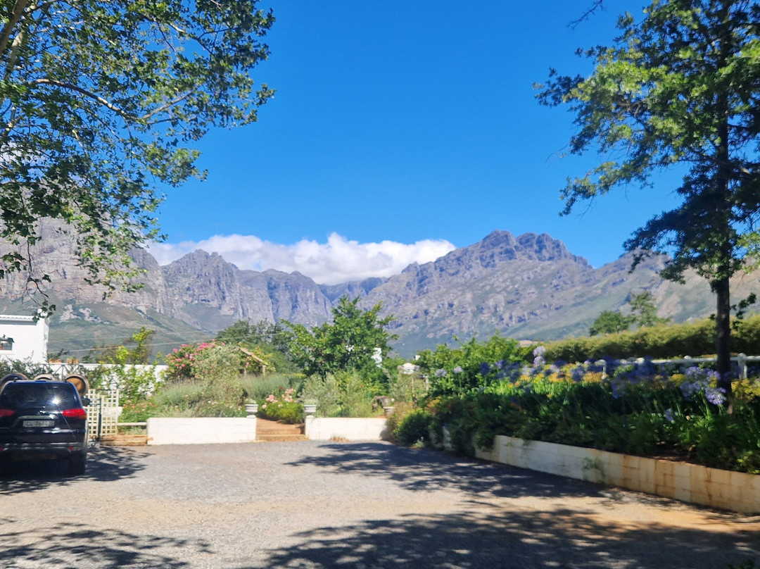 Camberley Wines-斯泰伦博斯必去景点