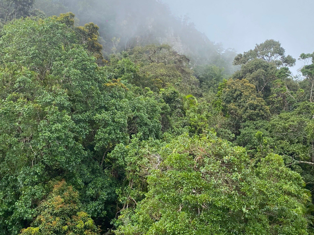 Kuranda National Park景点图片