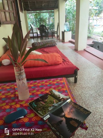 村别墅“阳光牛”-官方