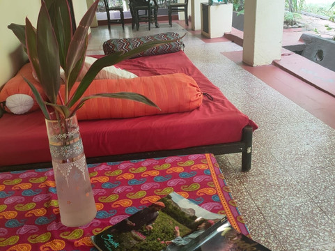 村别墅“阳光牛”主图