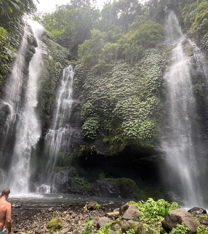Sekumpul and Fiji Waterfall景点图片