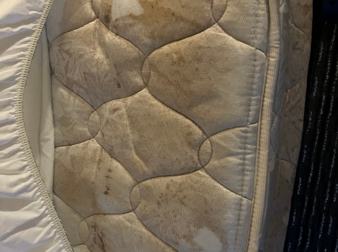 La Quinta Inn & Suites by Wyndham Orlando Lake Mary主图