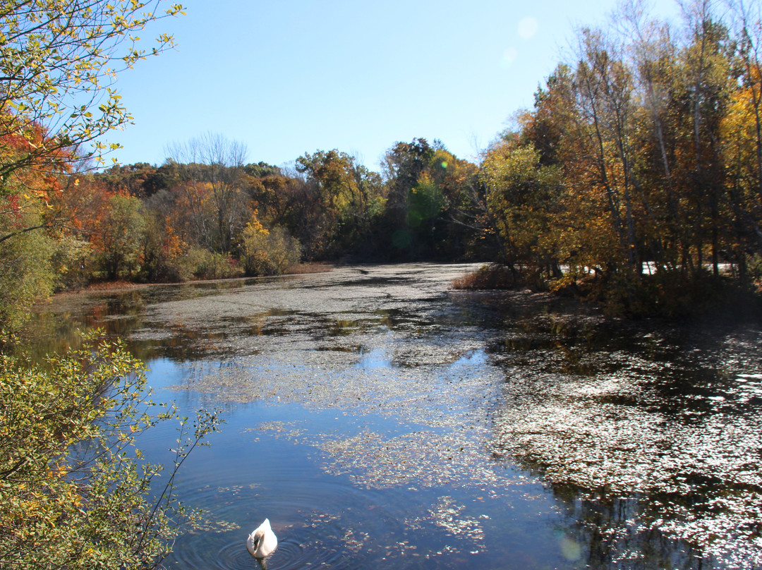 Plimoth Grist Mill-普利茅斯必去景点
