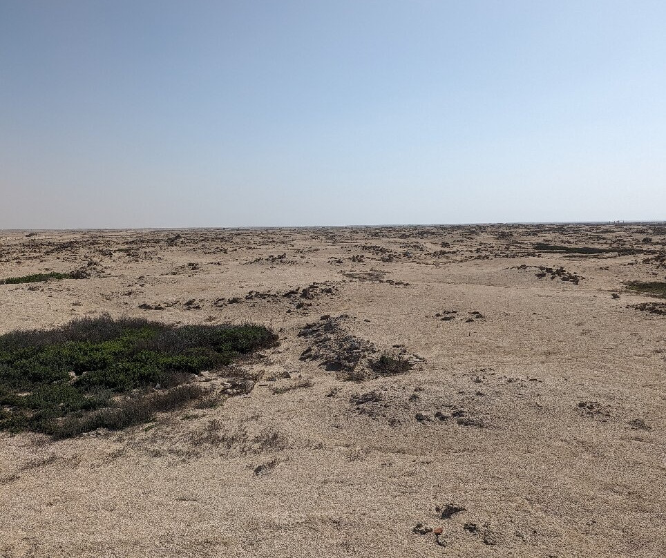 Al Zubarah Archaeological Site景点图片