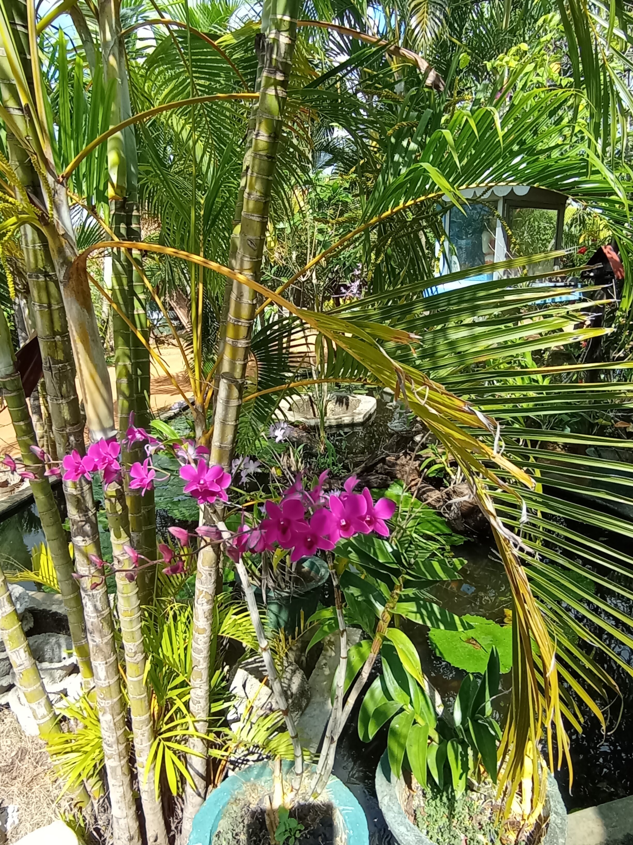 Lagoon Inn & Restaurant-官方