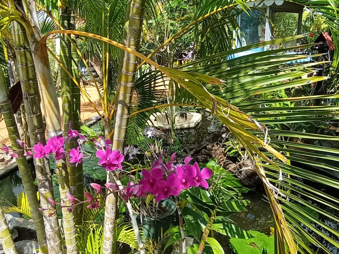 Lagoon Inn & Restaurant主图