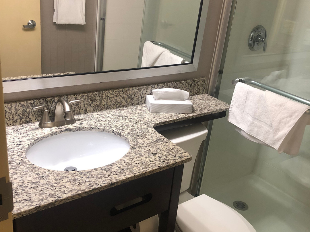 Holiday Inn Alexandria - Carlyle By IHG主图