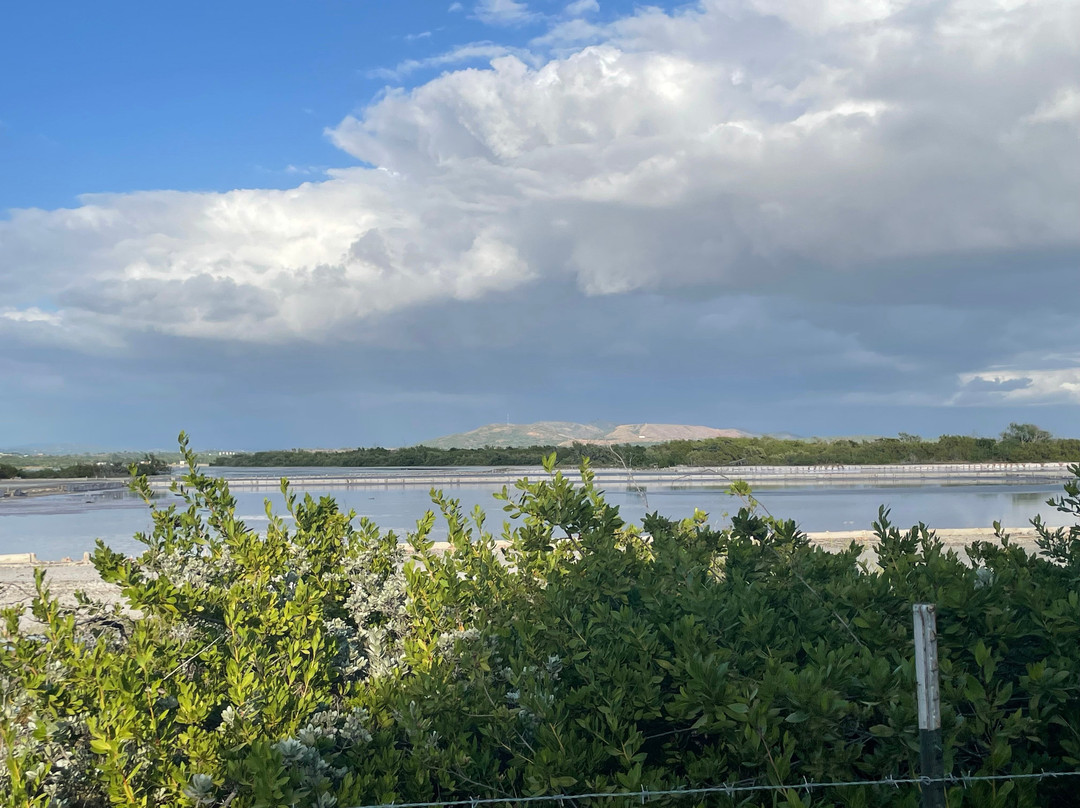 Salinas de Cabo Rojo-Cabo Rojo必去景点