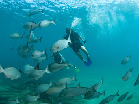 Mar De Noronha-费尔南多-迪诺罗尼亚群岛必去景点