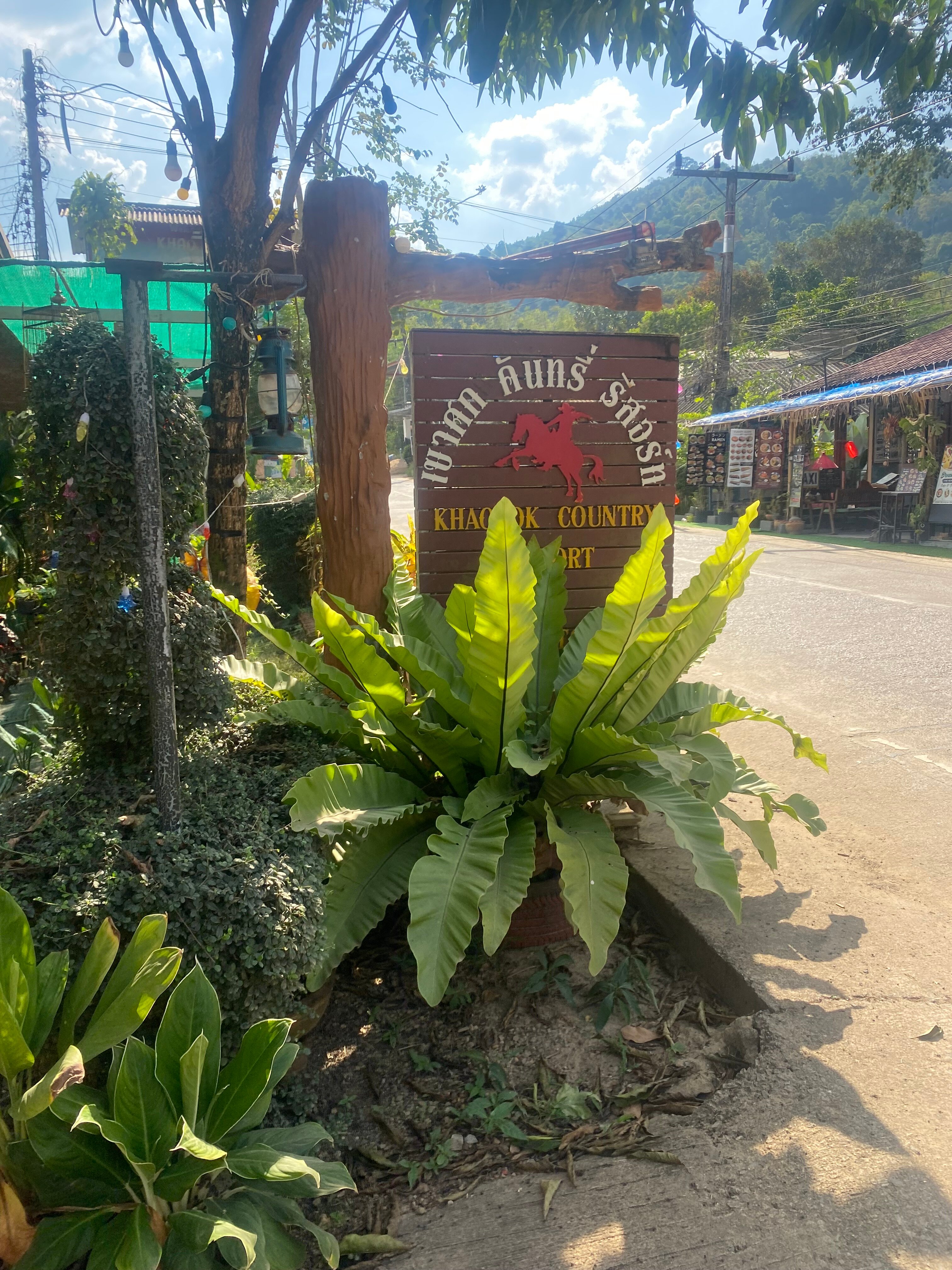 Khao Sok Country Resort-浴室