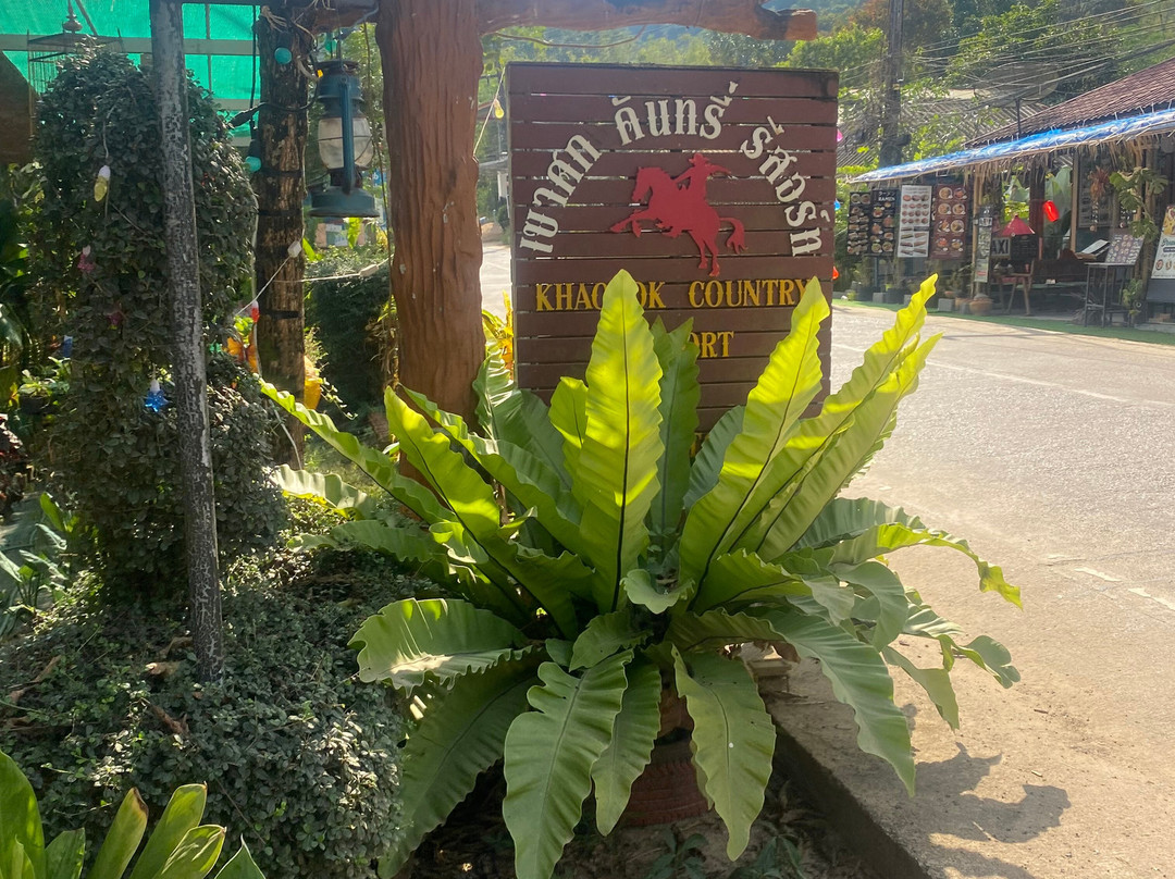 Khao Sok Country Resort主图
