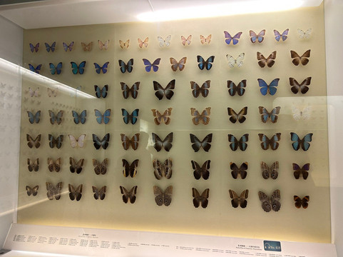 国家动物博物馆-北京市必去景点