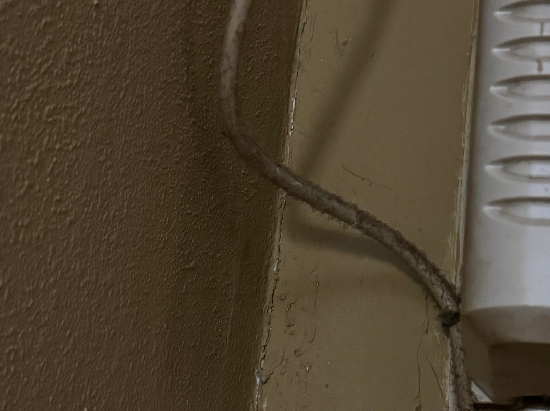 奥克代尔汽车旅馆主图