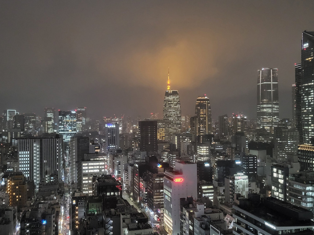 The Blossom Hibiya主图