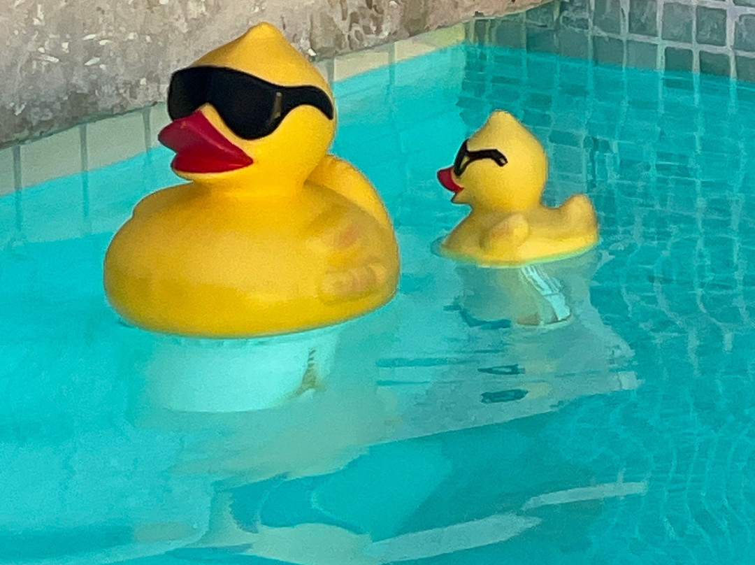 Casa de Amistad主图