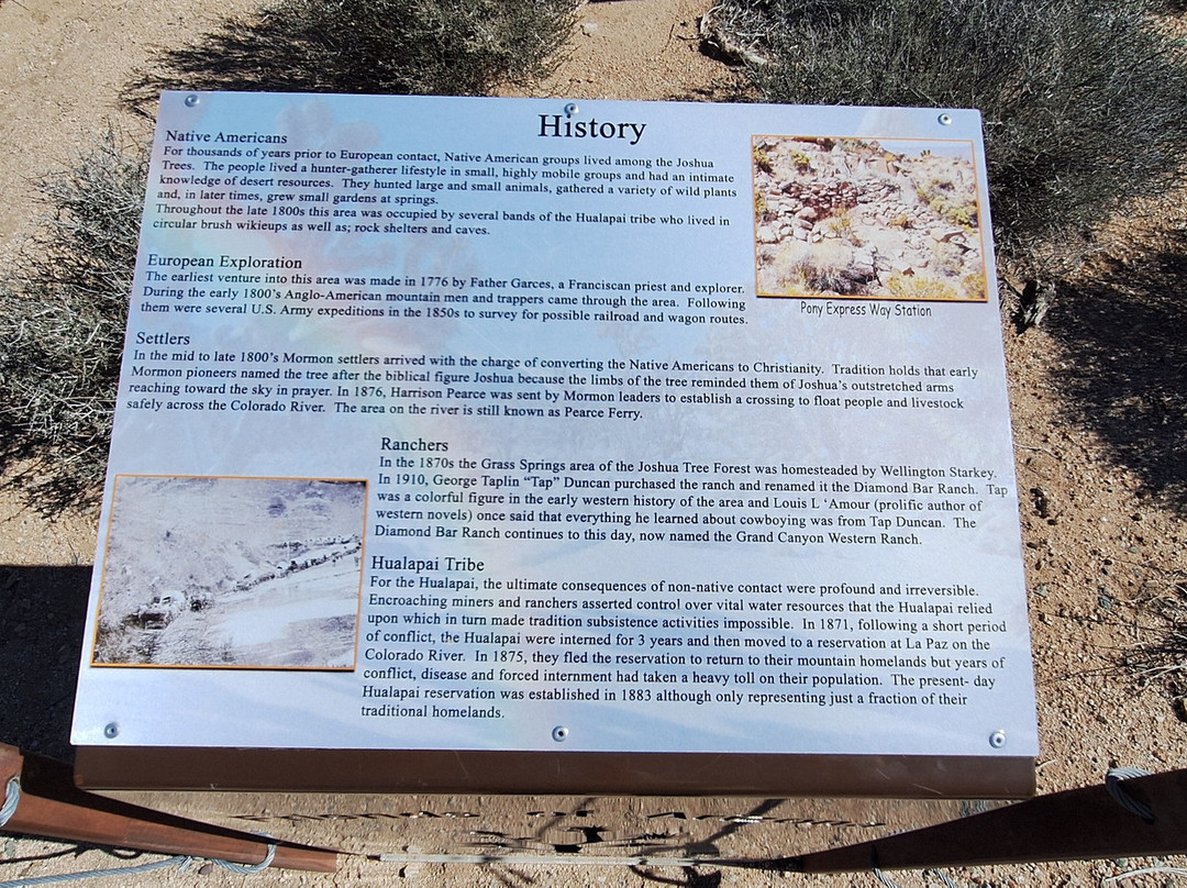 Grapevine Mesa Joshua Trees-Meadview必去景点