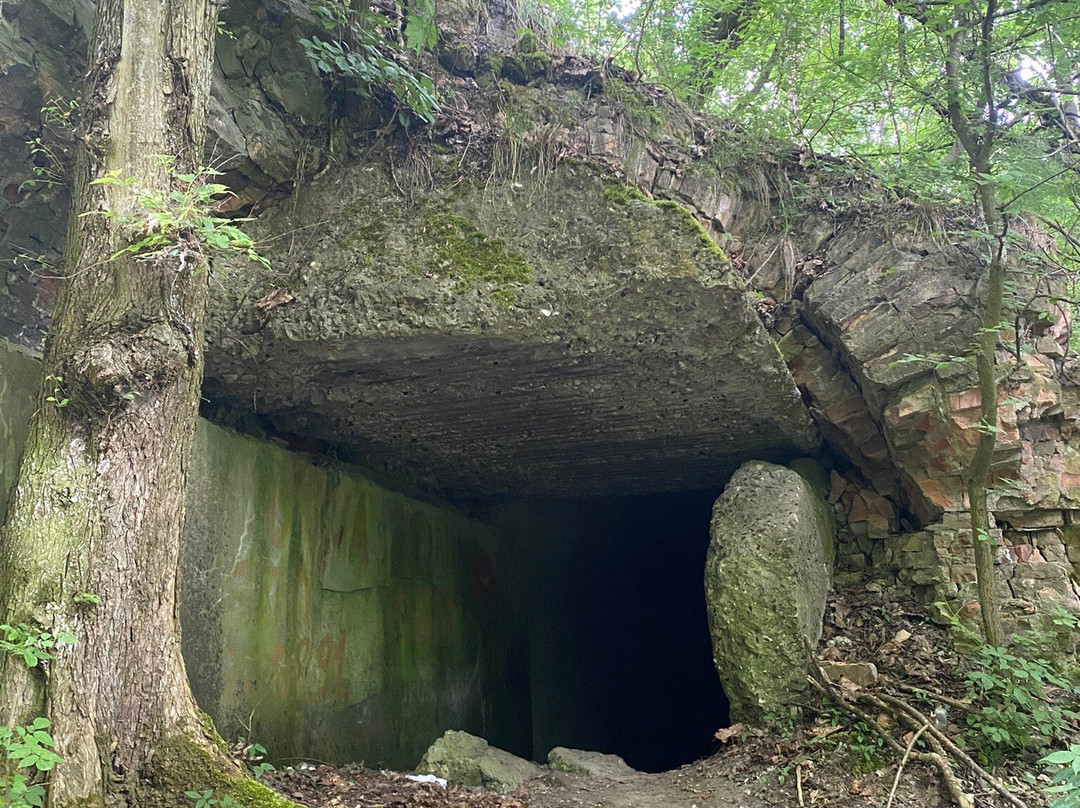 Tarakaniv Fort-Dubno必去景点