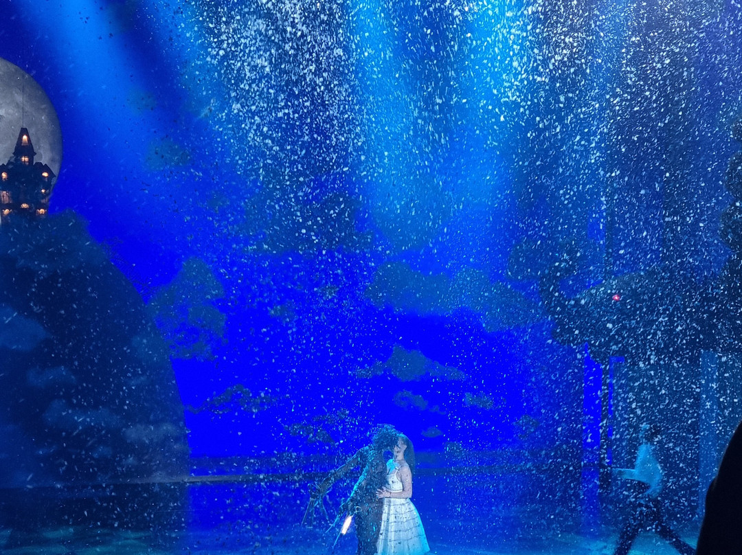 Hull New Theatre景点图片