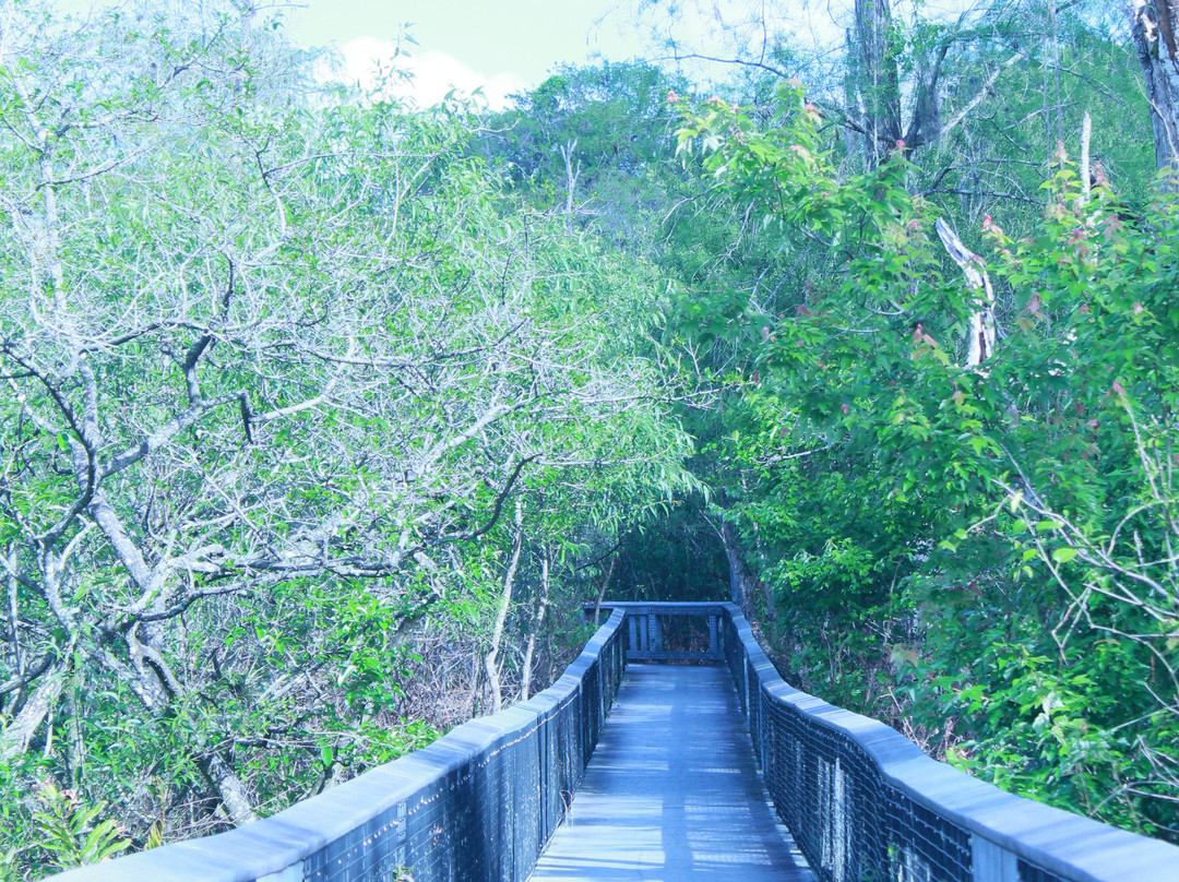 Fern Forest Nature Center-Coconut Creek必去景点