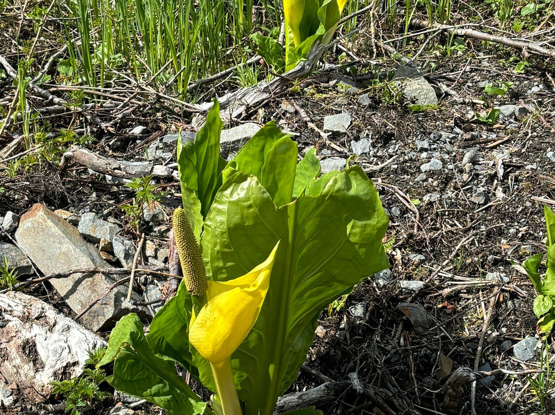 Cape Fox Tours-凯奇坎必去景点