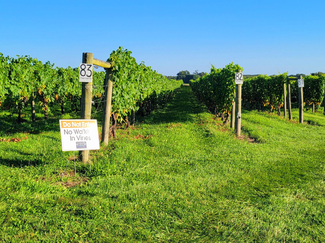 Working Dog Winery-东温莎必去景点