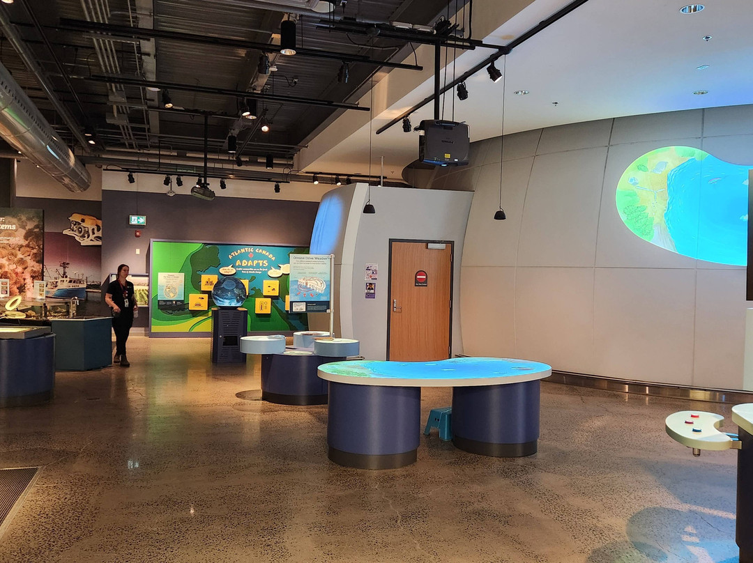 Discovery Centre-哈利法克斯必去景点