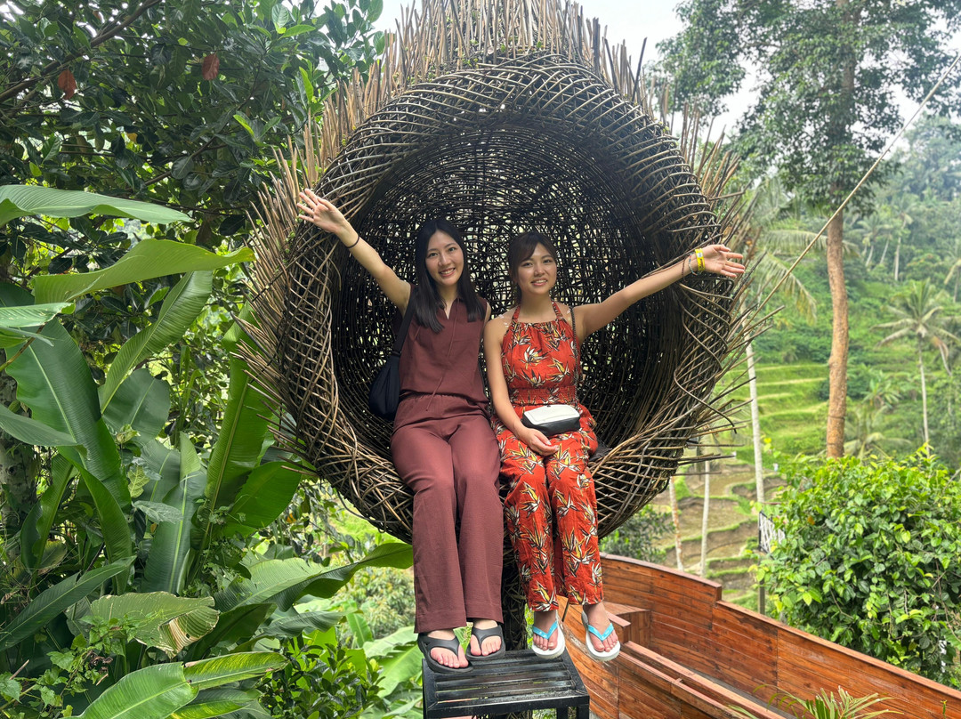 Bali Carcharter Nusadua-Kuta Selatan必去景点