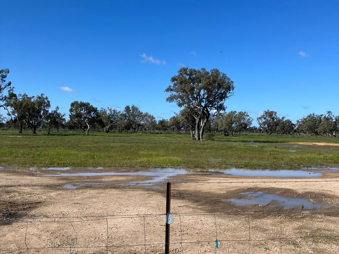 Pilliga Artesian Bore Bath景点图片