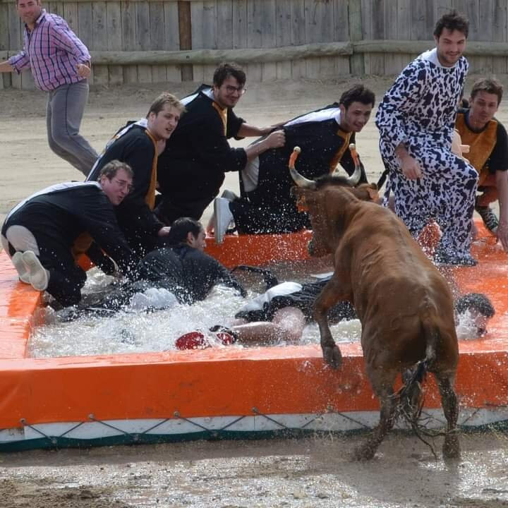 Toro Piscine Evg Montpellier