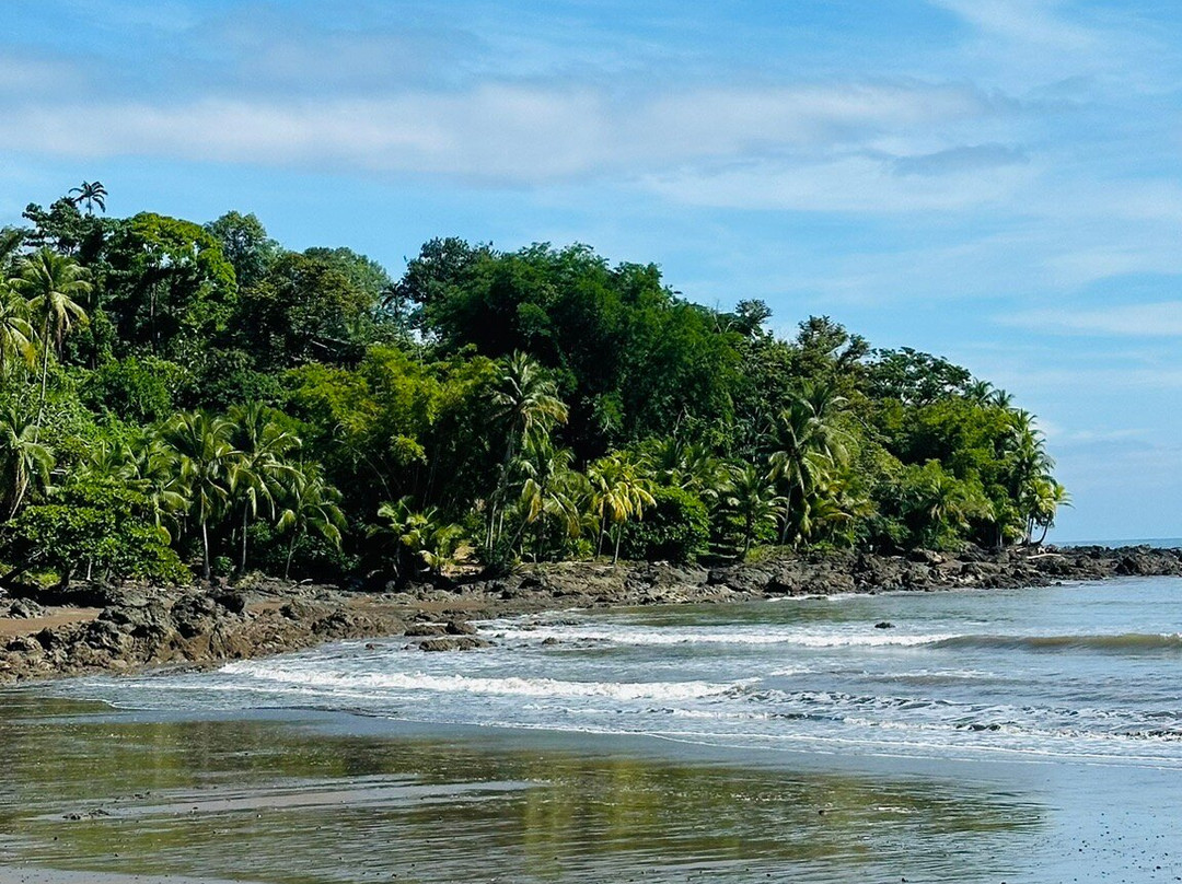 GreenPoint Drake Bay主图