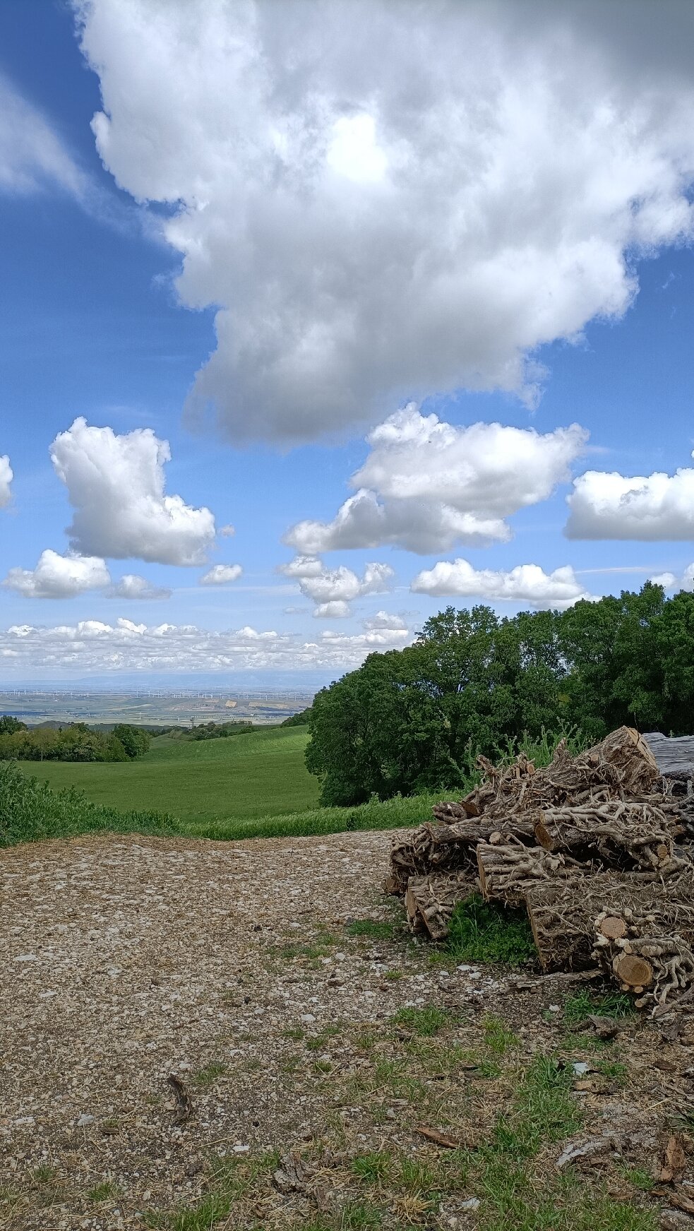 Masseria Salecchia-官方