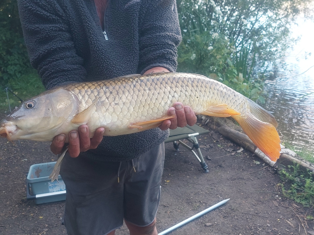 Lake Farm