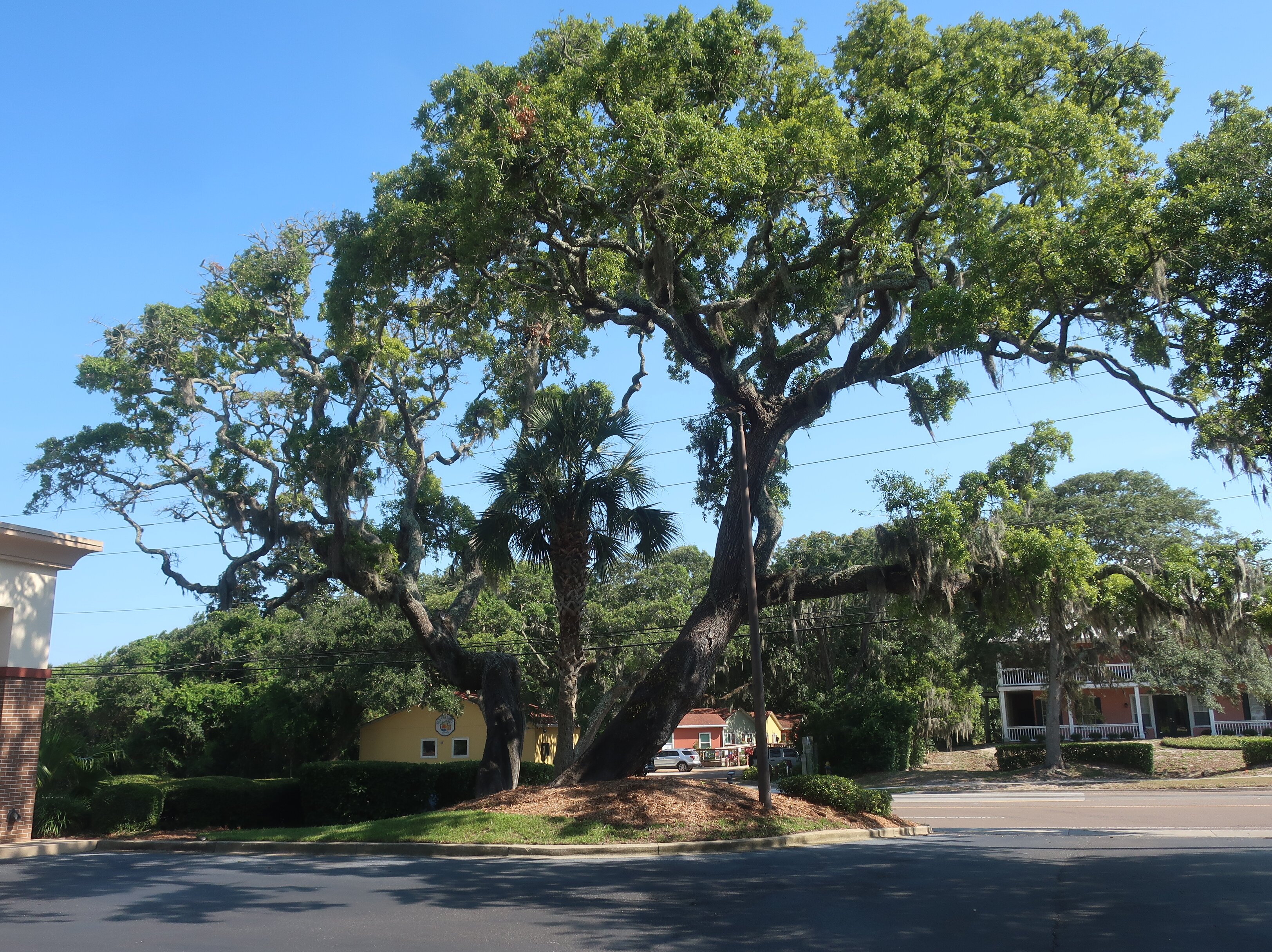 Hampton Inn Amelia Island at Fernandina Beach-浴室