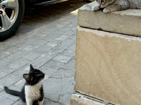 “Travelway Azerbaijan”-巴库必去景点