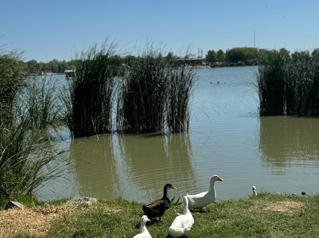 Golbasi Genclik Parki景点图片