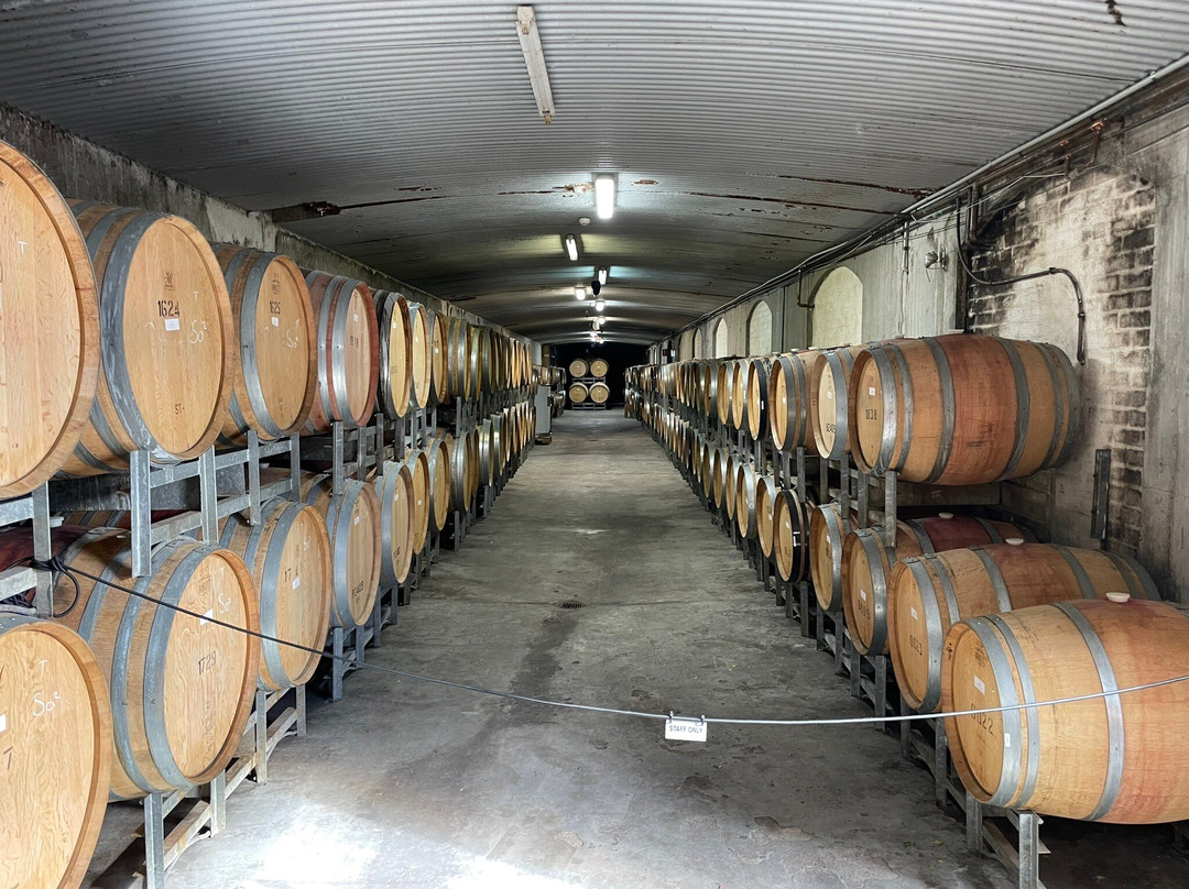 TarraWarra Estate Cellar Door-亚拉格林必去景点