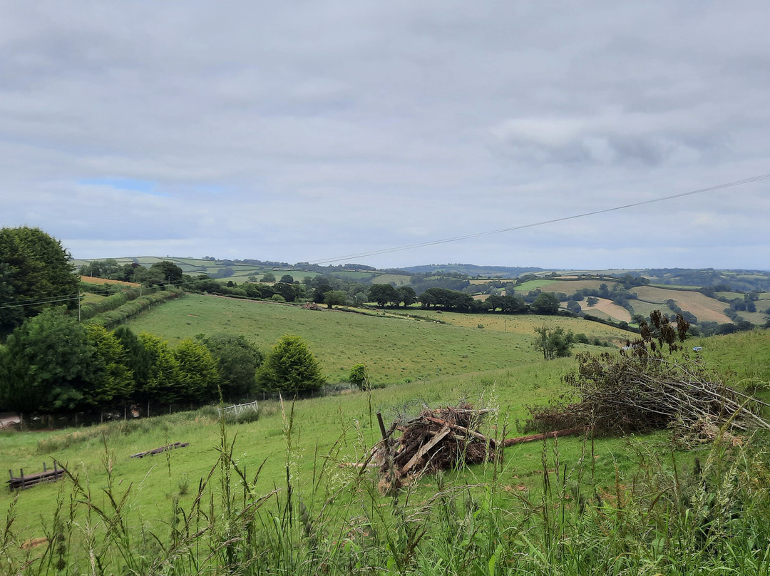 The Cadeleigh Arms-Cadeleigh必去景点