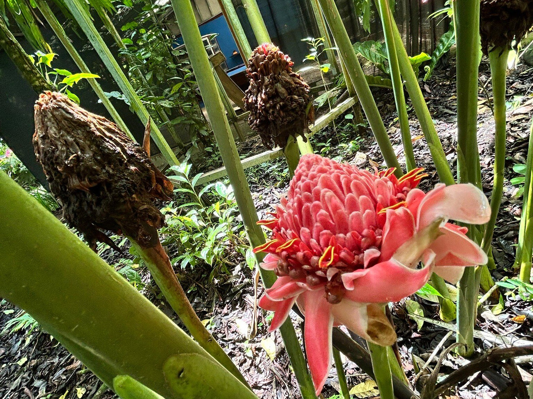 Finca Verde Lodge Tours景点图片