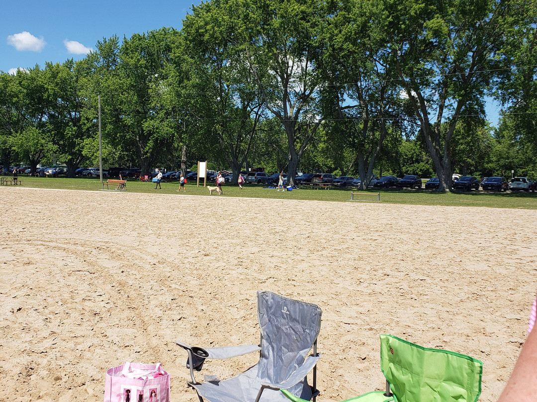 Brown’s Bay Day Park景点图片