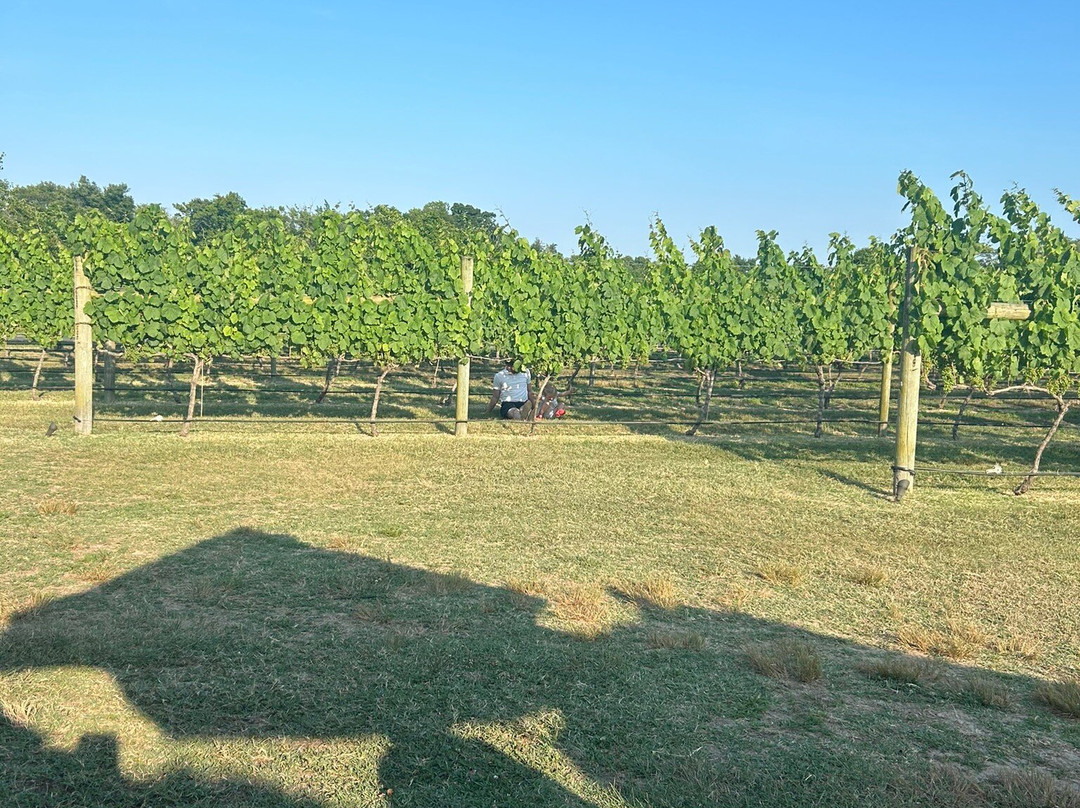 Willow Creek Winery景点图片