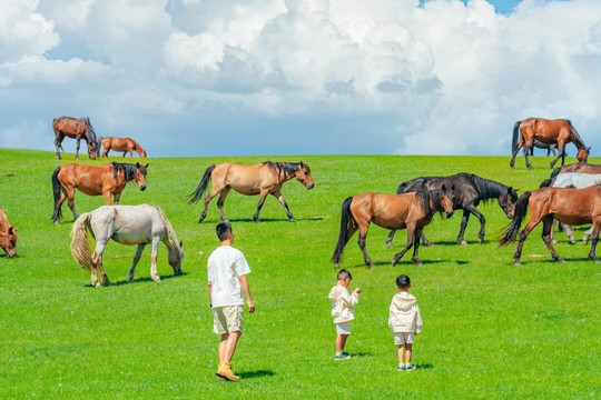 오케이트래블-乌兰巴托必去景点