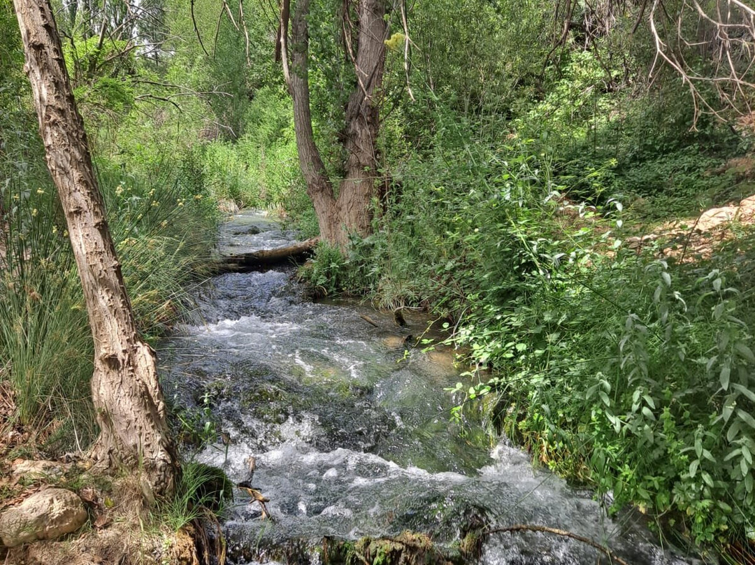 Ruta del Zarzalar-Nerpio必去景点